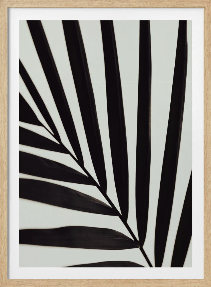 Grafisch palmblad_1 | Poster