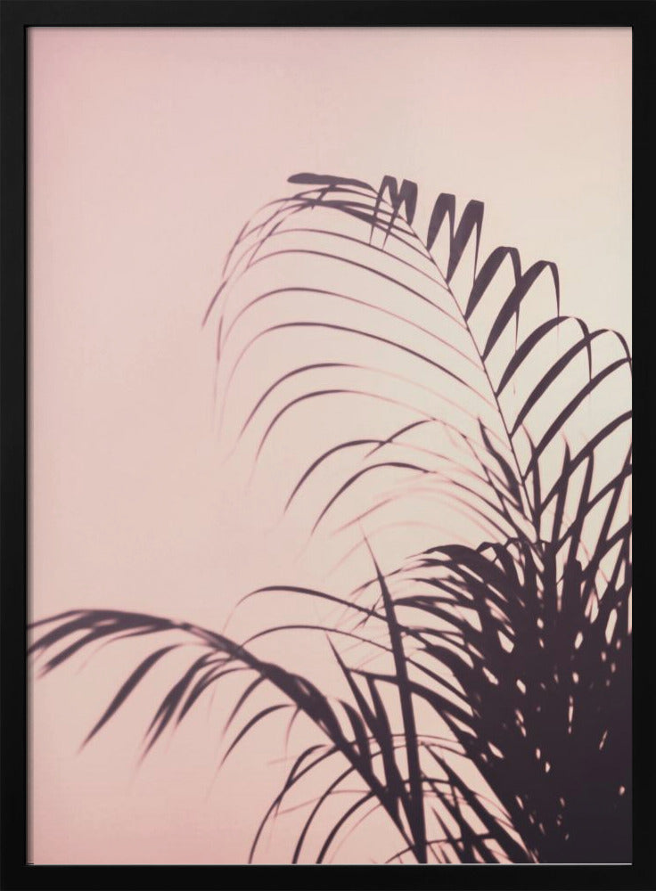 Palmbladeren_1 | Poster