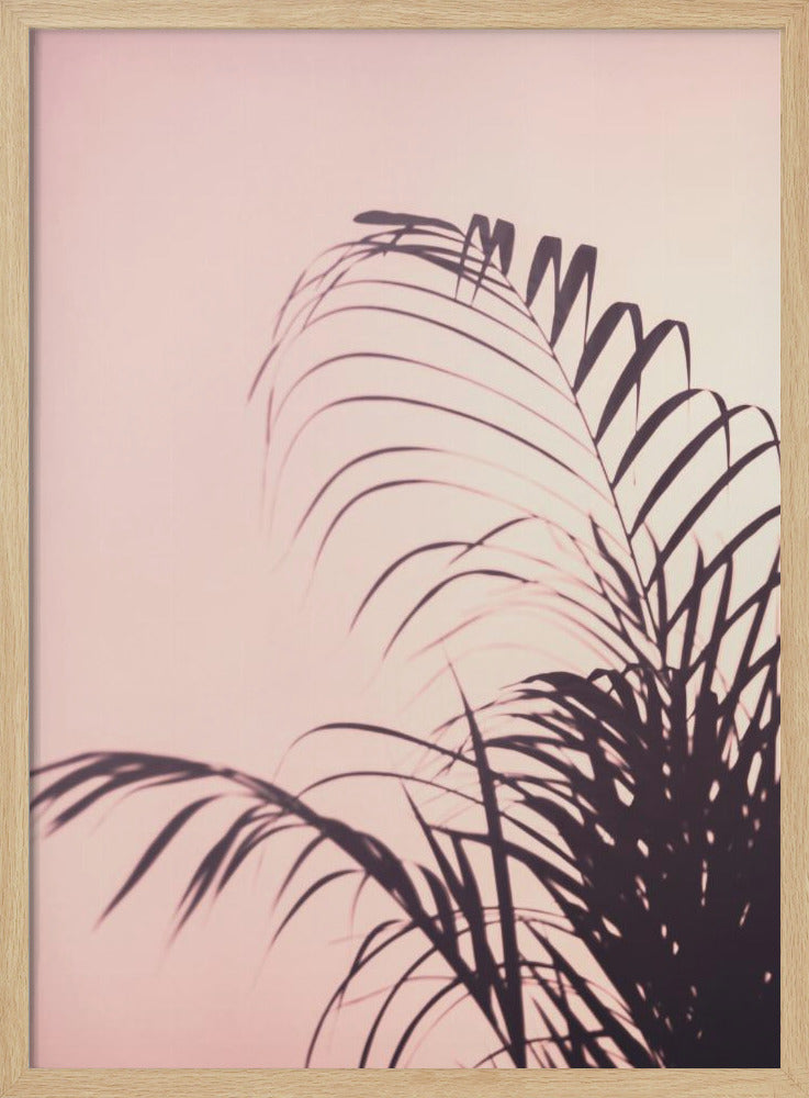Palmbladeren_1 | Poster