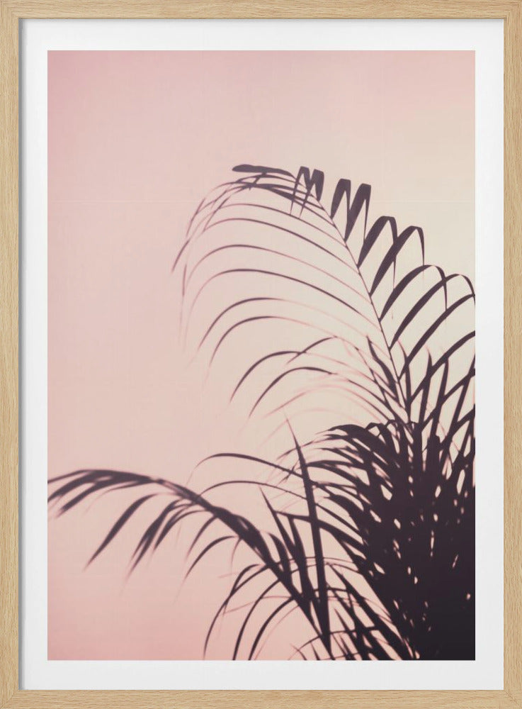 Palmbladeren_1 | Poster