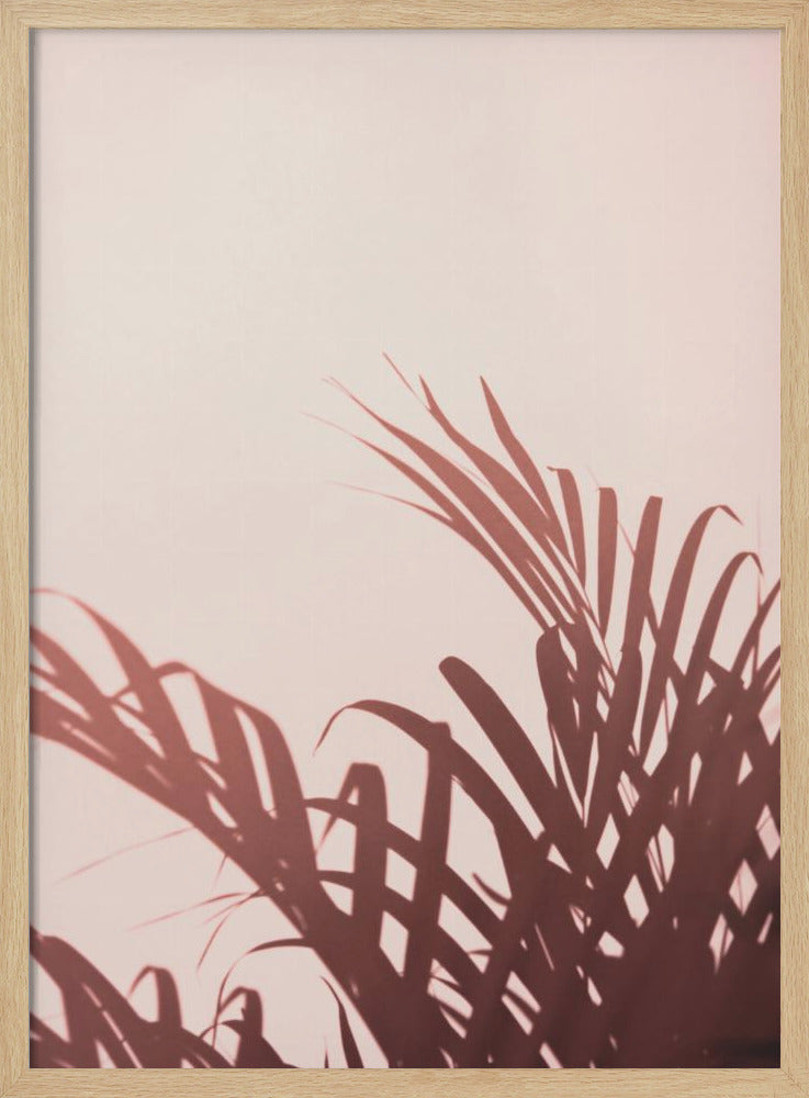 Palmbladeren_2 | Poster