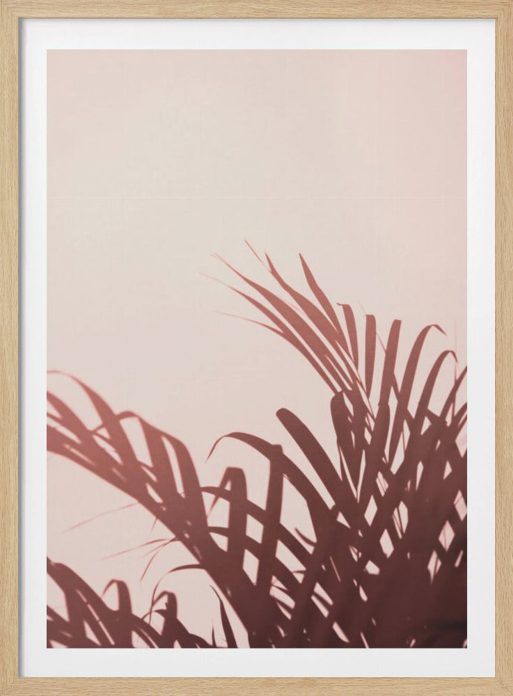 Palmbladeren_2 | Poster