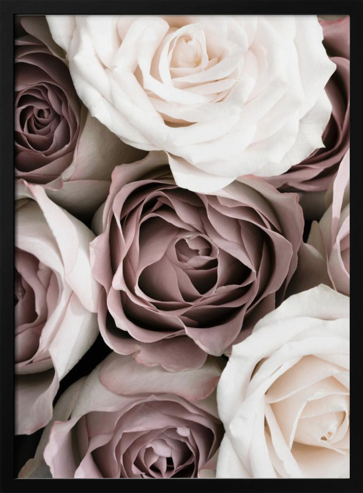 Rozen | Poster