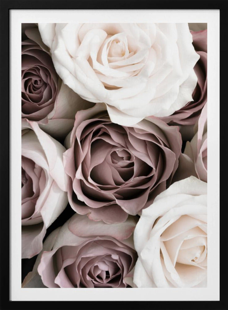 Rozen | Poster