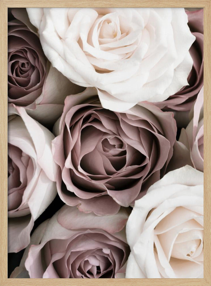 Rozen | Poster