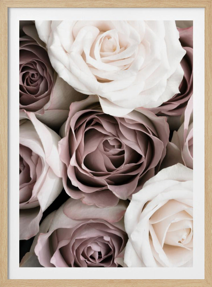 Rozen | Poster