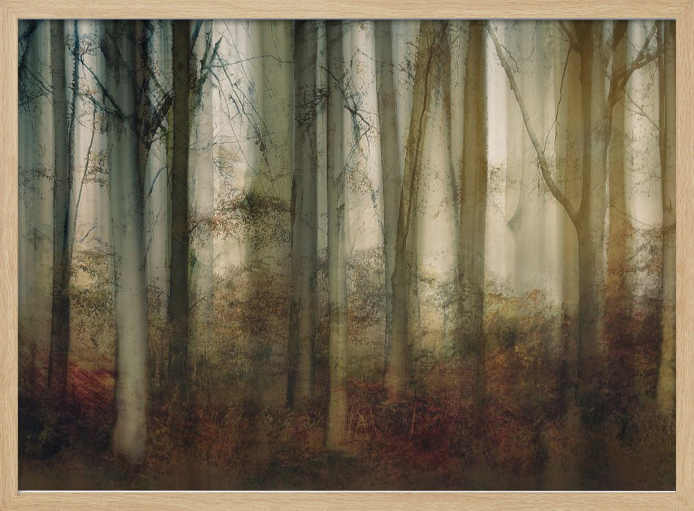Herfstlicht | Poster