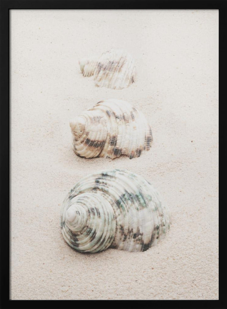 Schelpen | Poster
