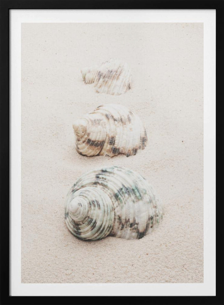 Schelpen | Poster