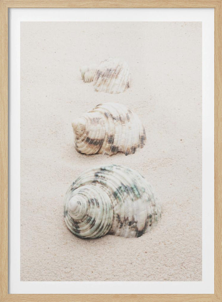 Schelpen | Poster