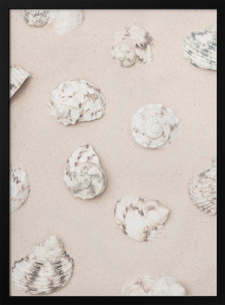 Schelpen_2 | Poster