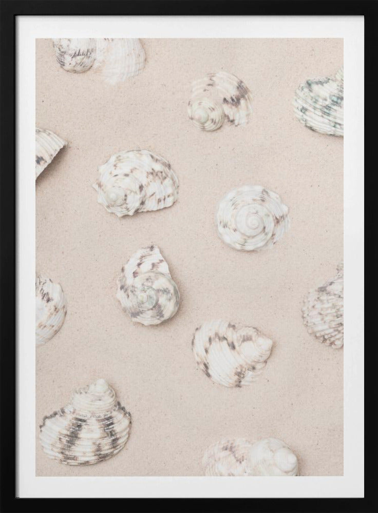 Schelpen_2 | Poster