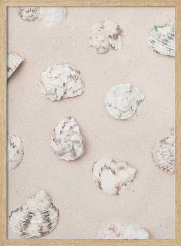 Schelpen_2 | Poster
