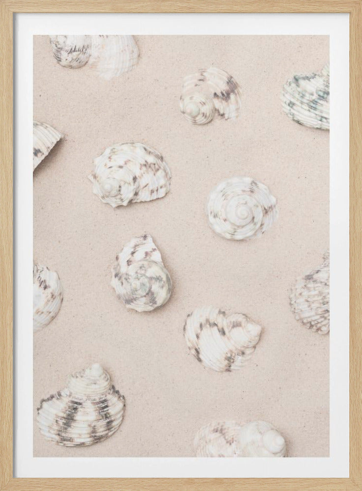 Schelpen_2 | Poster
