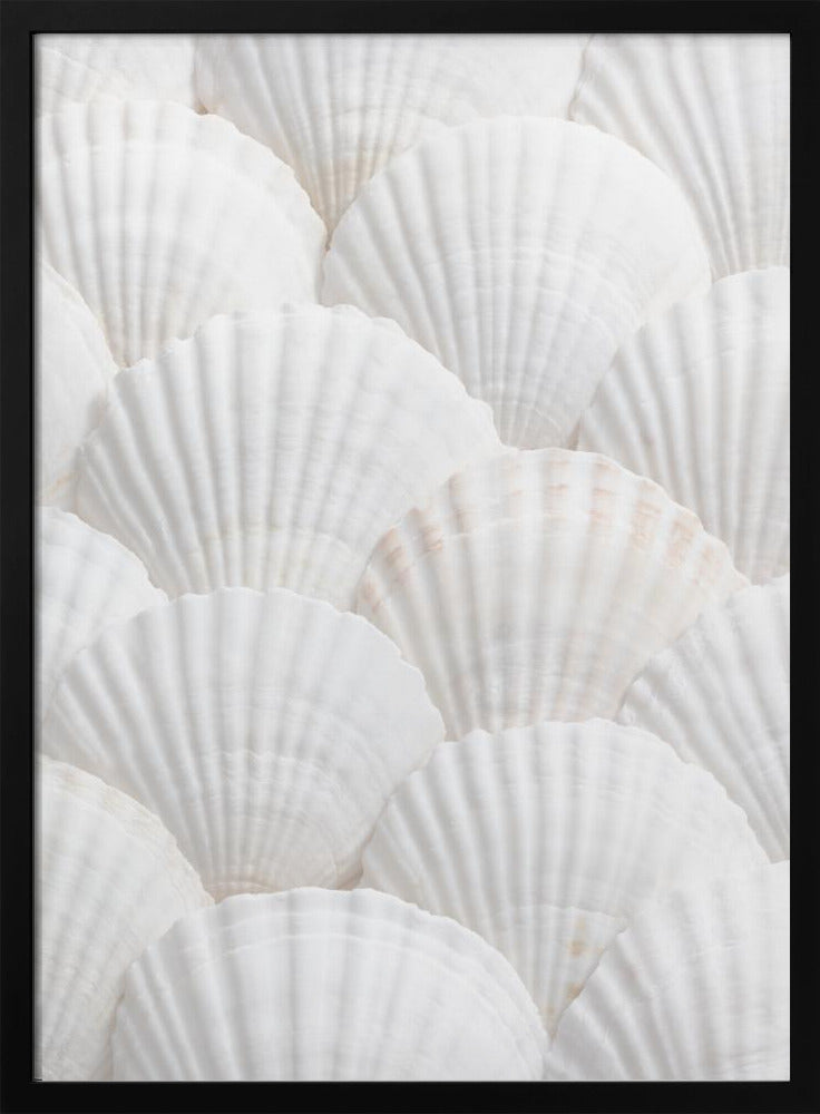 Schelpen_3 | Poster