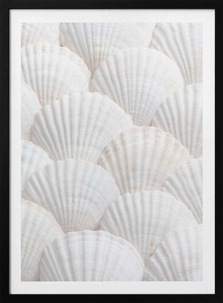 Schelpen_3 | Poster