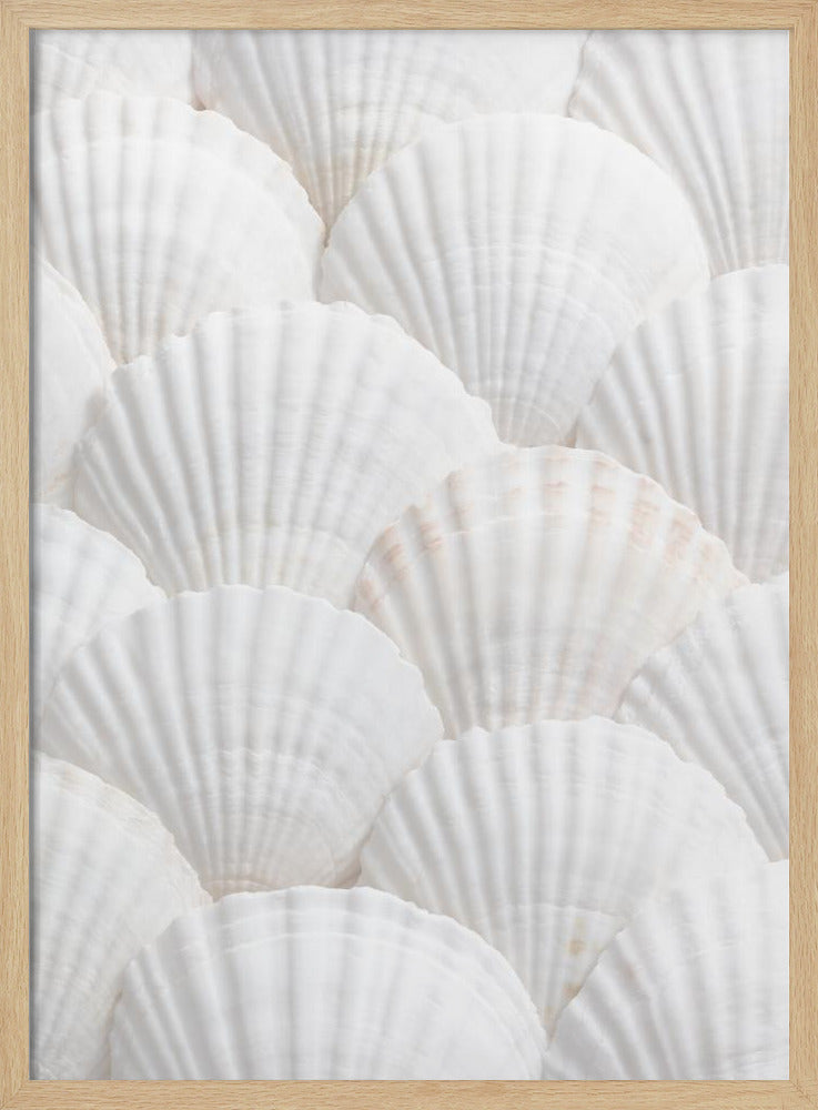 Schelpen_3 | Poster