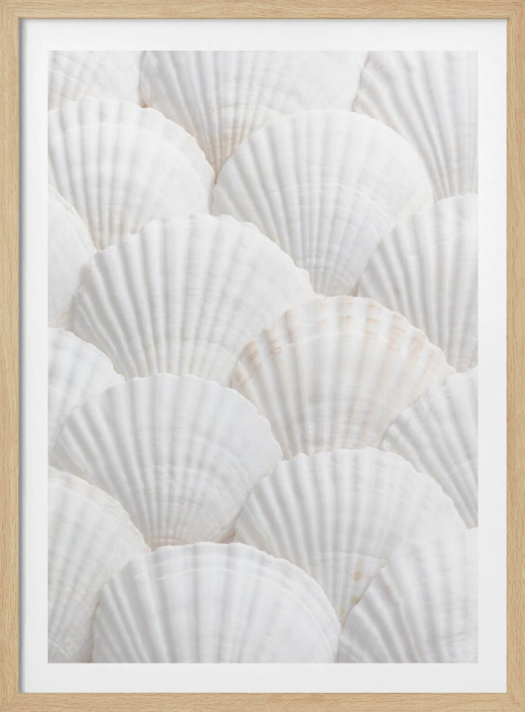 Schelpen_3 | Poster