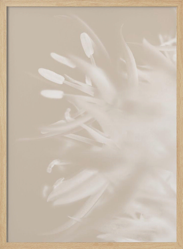 Bloem Beige_1 | Poster