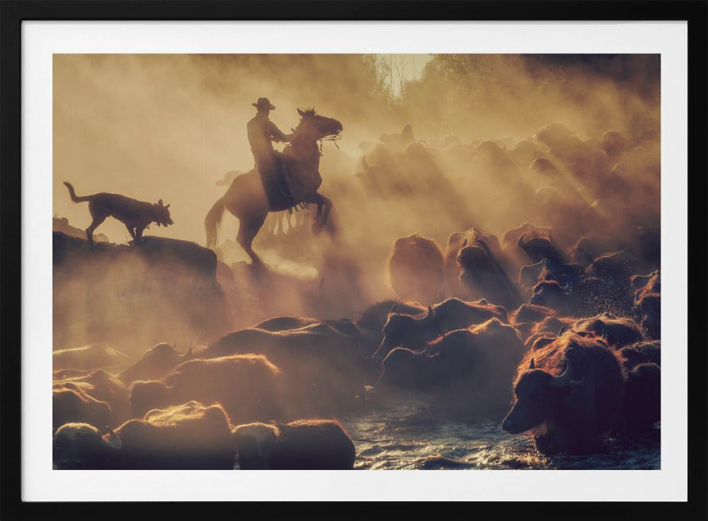 De buffelherder | Poster