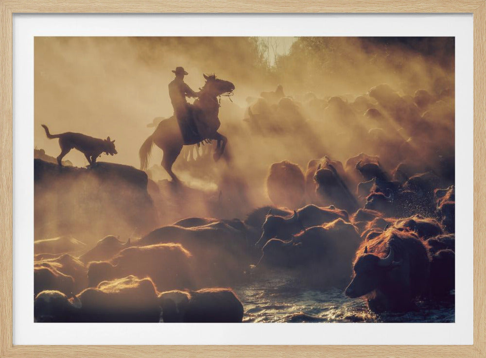 De buffelherder | Poster
