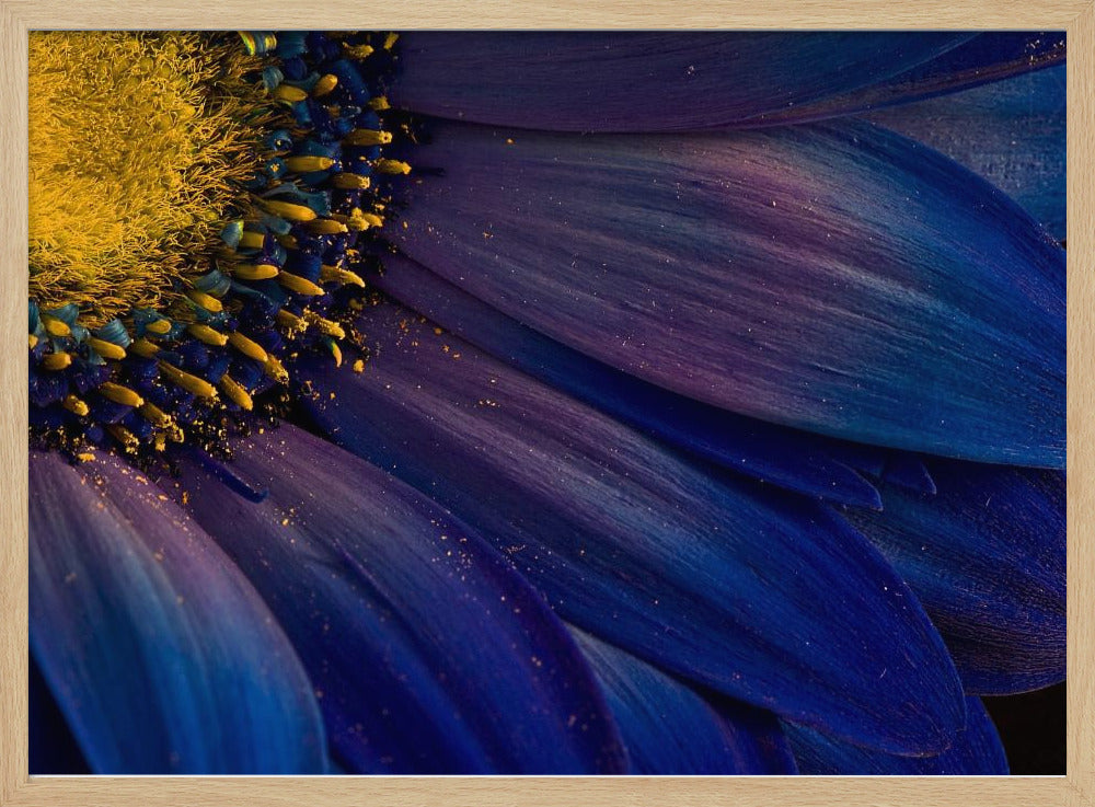 Blauwe Stralen | Poster