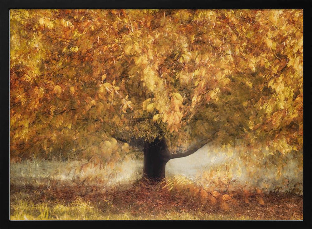 Gouden kleuren | Poster