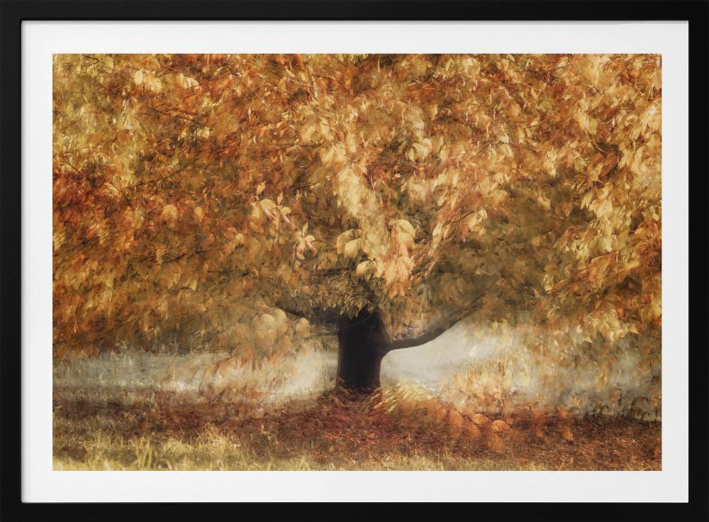 Gouden kleuren | Poster