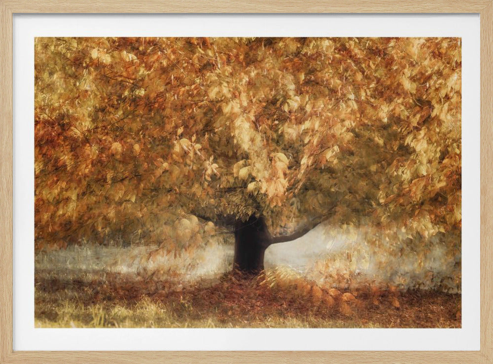 Gouden kleuren | Poster