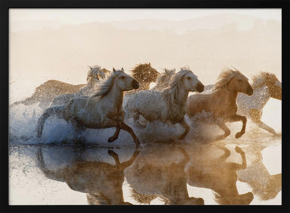 Paarden | Poster