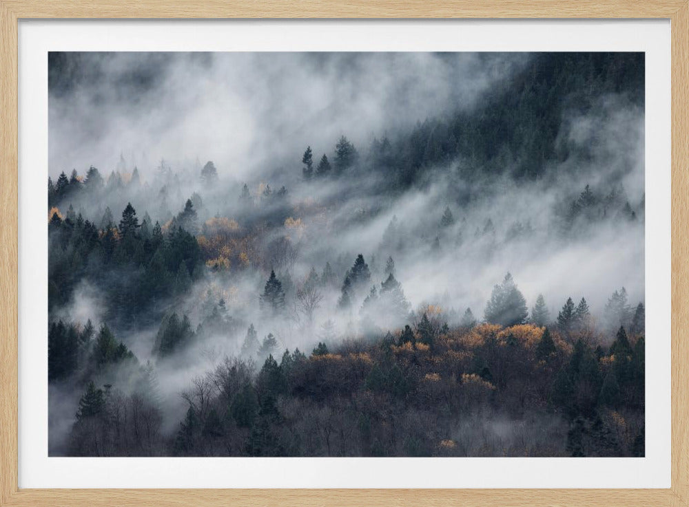 Een pad van de mist | Poster