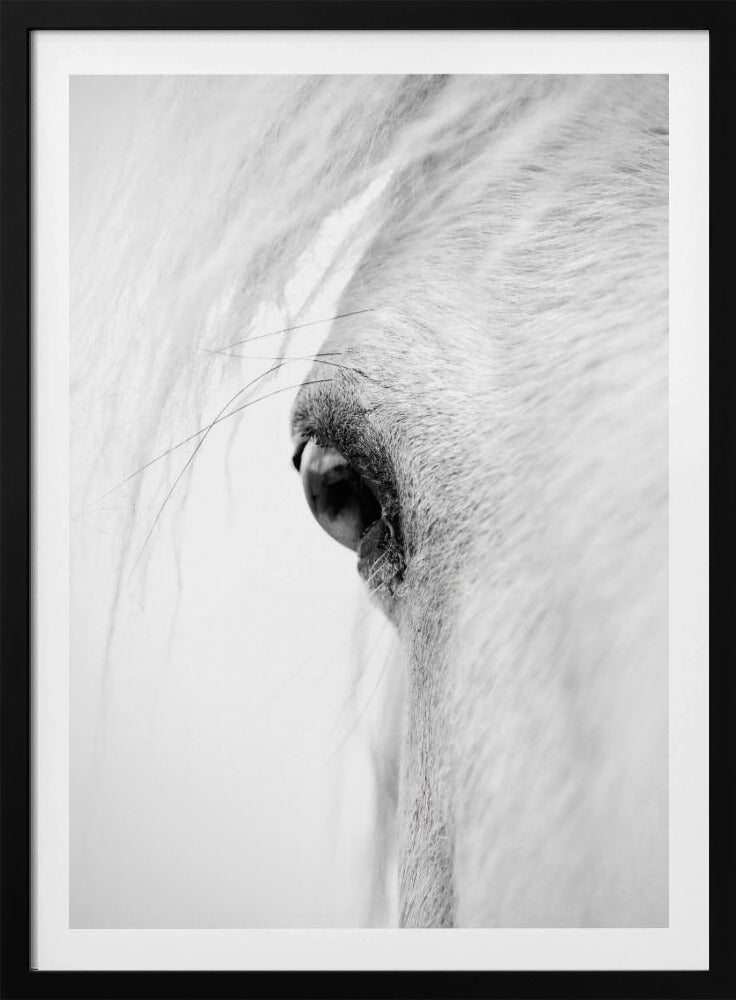 Slangoog | Poster
