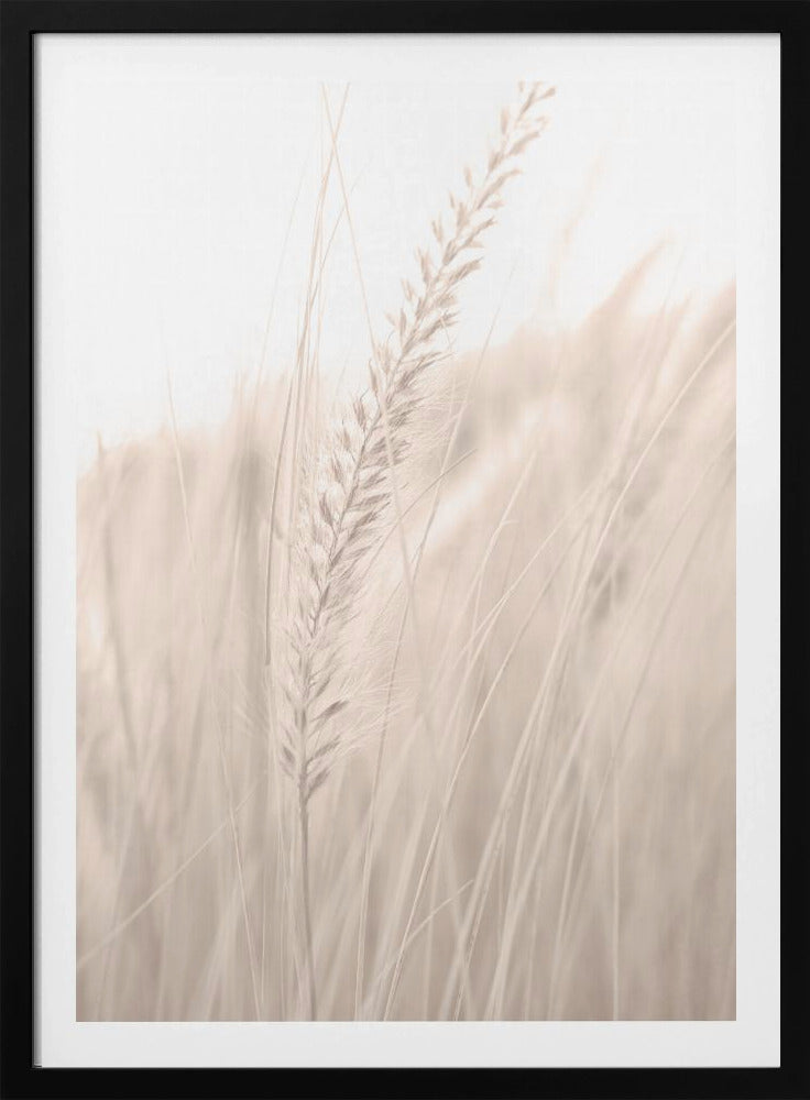 Grass_001 | Poster