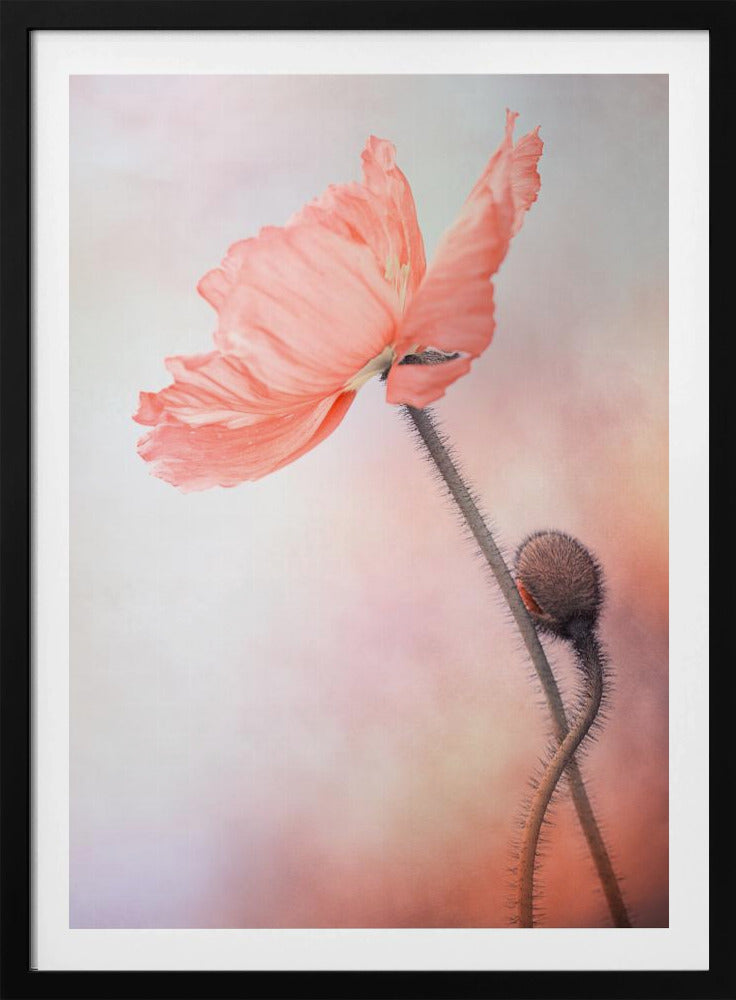 Tenderness | Poster