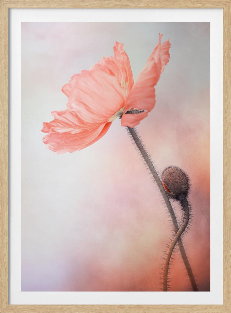 Tenderness | Poster