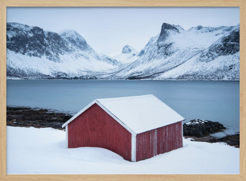 Rode hut | Poster