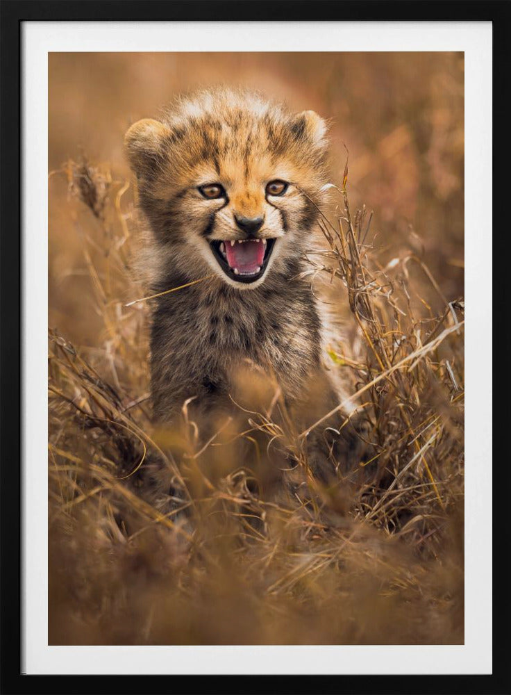 Grote glimlach | Poster