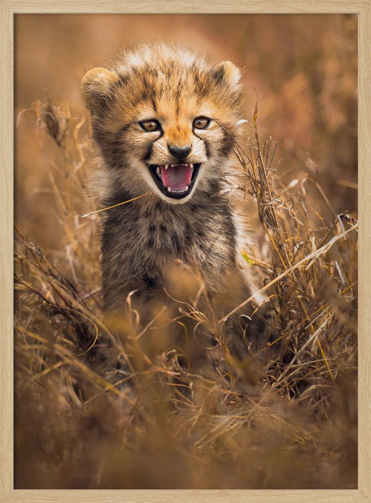 Grote glimlach | Poster