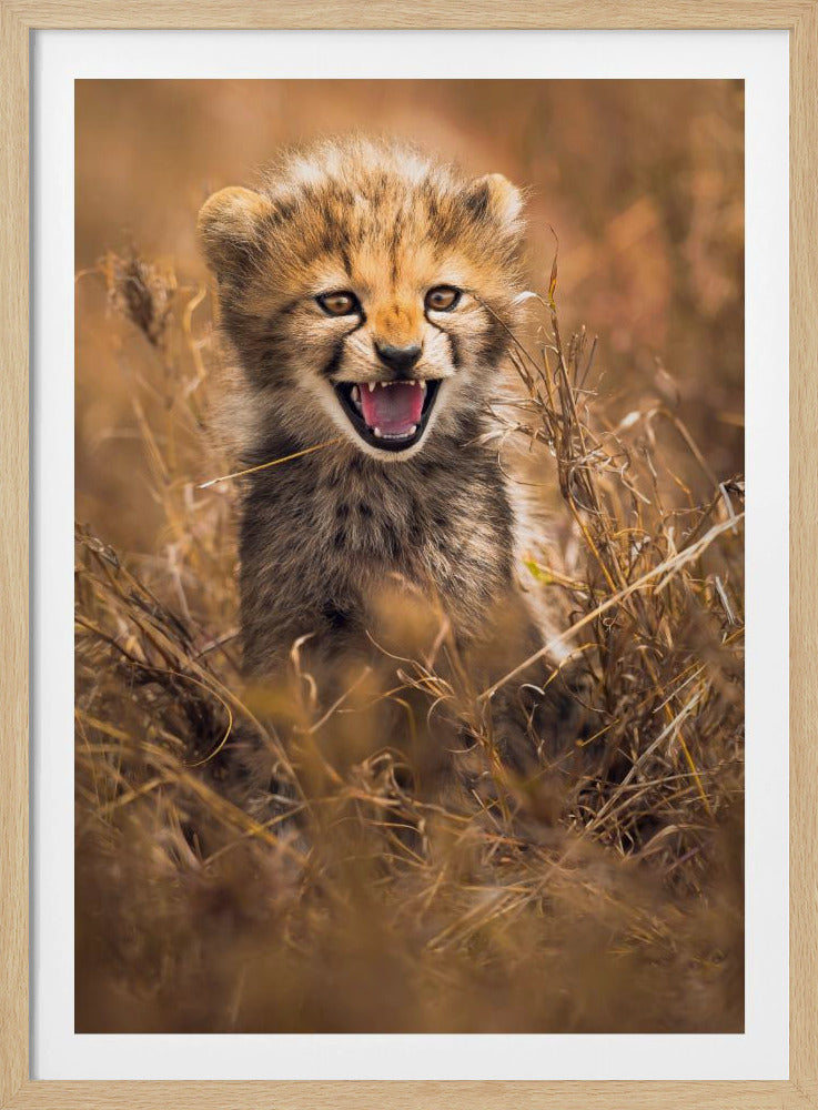 Grote glimlach | Poster