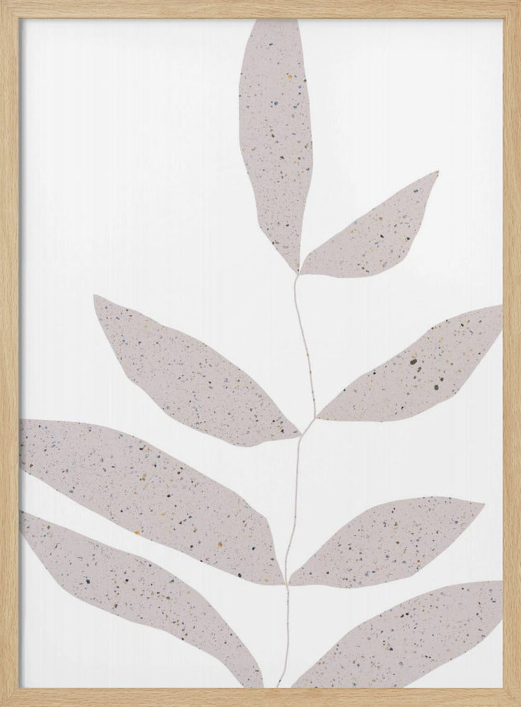 Delicate bladeren | Poster