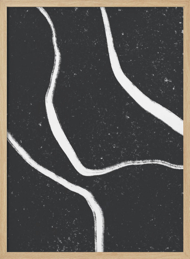 Monochrome paden | Poster