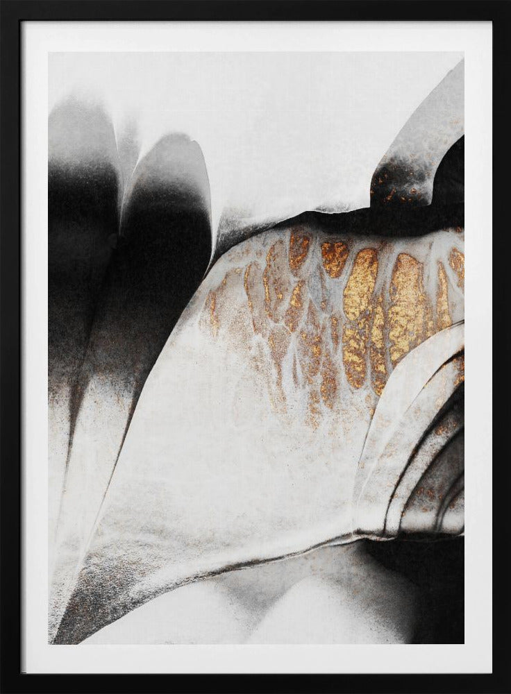 Goudaders | Poster