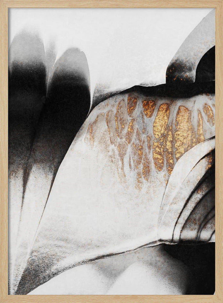 Goudaders | Poster