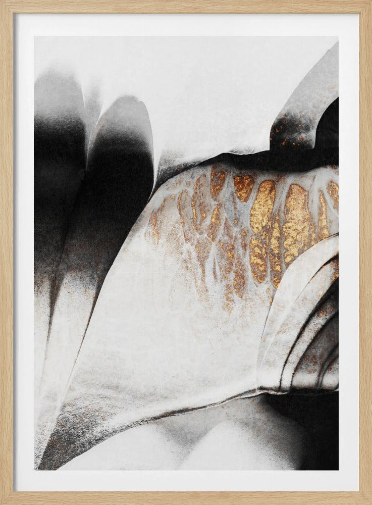 Goudaders | Poster