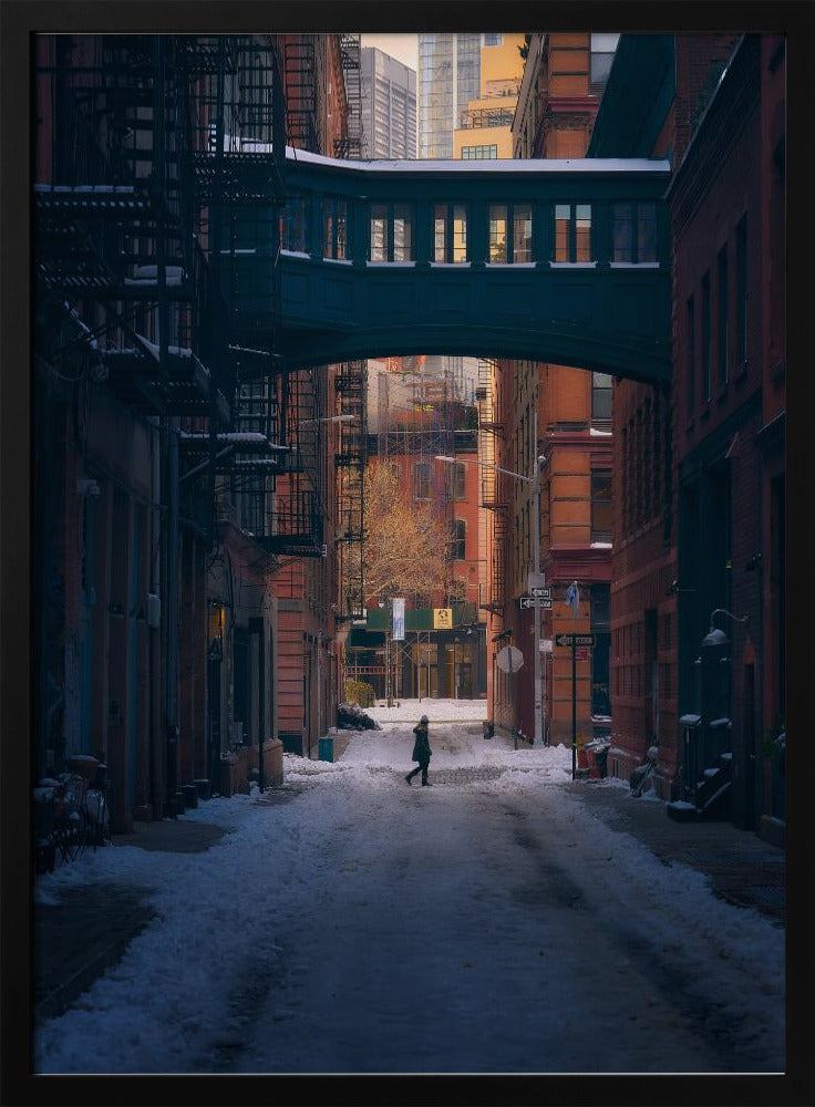 Onder de Skybridge | Poster