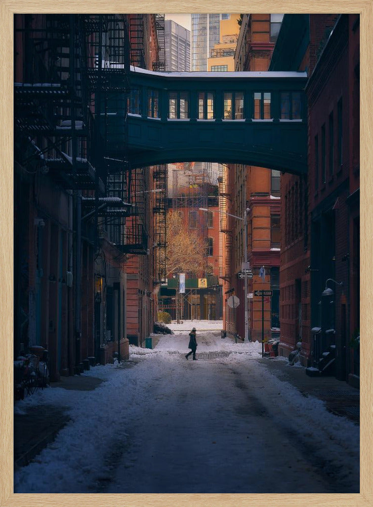 Onder de Skybridge | Poster