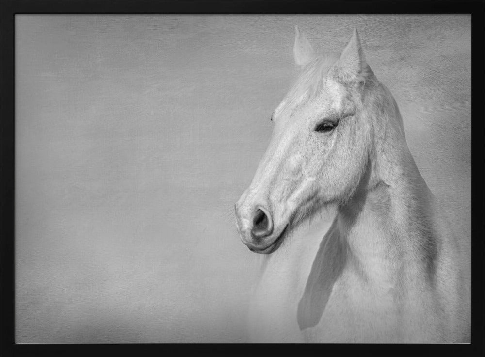 Het Grijze Paard | Poster