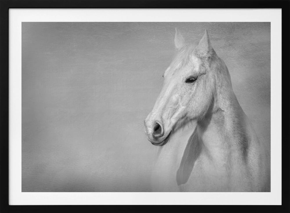 Het Grijze Paard | Poster