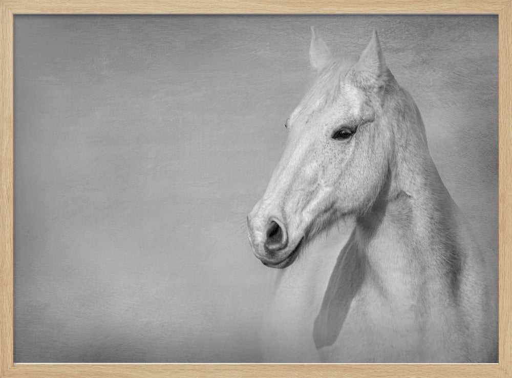 Het Grijze Paard | Poster