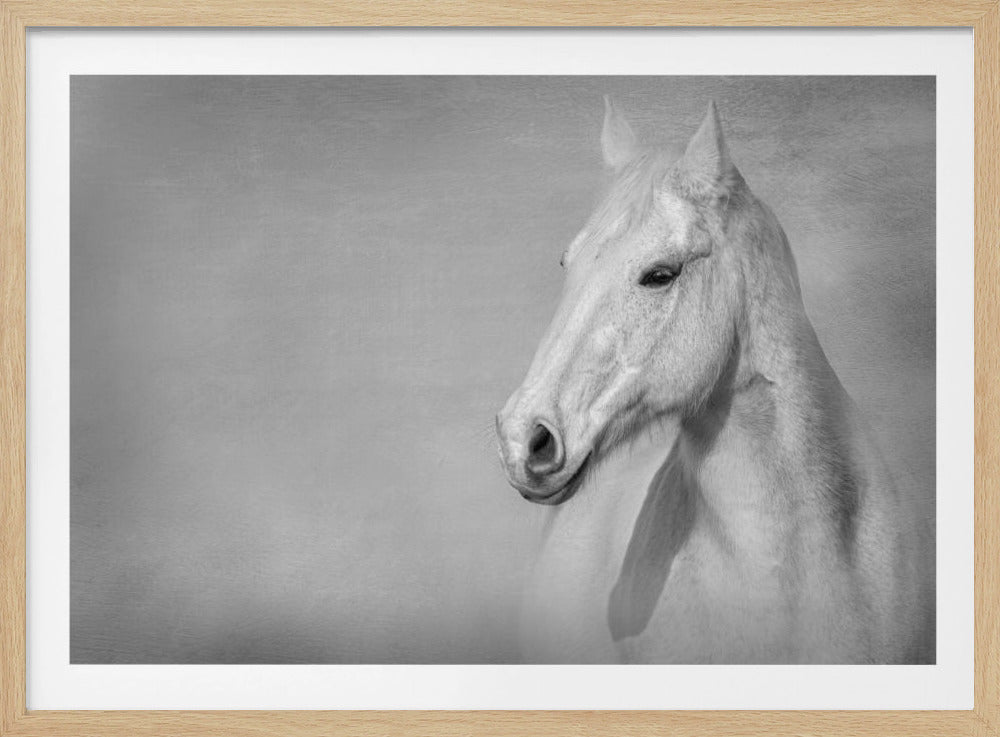 Het Grijze Paard | Poster